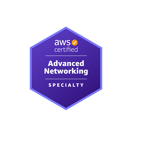 Official AWS Advanced Networking Specialty certification badge